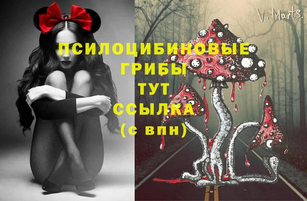 MDMA Куйбышев