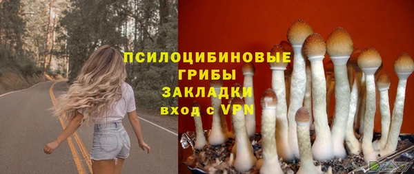 прущая мука Кукмор