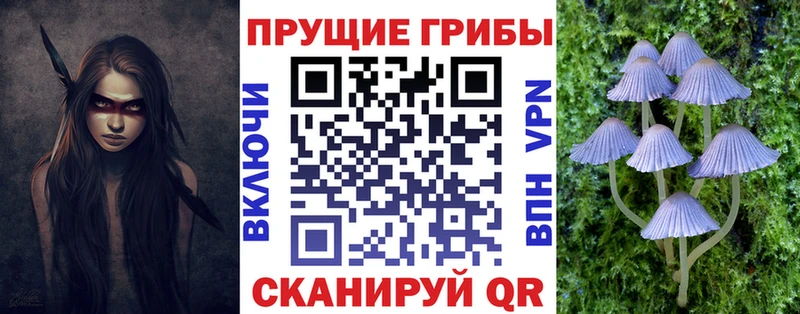 Галлюциногенные грибы MAGIC MUSHROOMS  Купить закладки  Орехово-Зуево